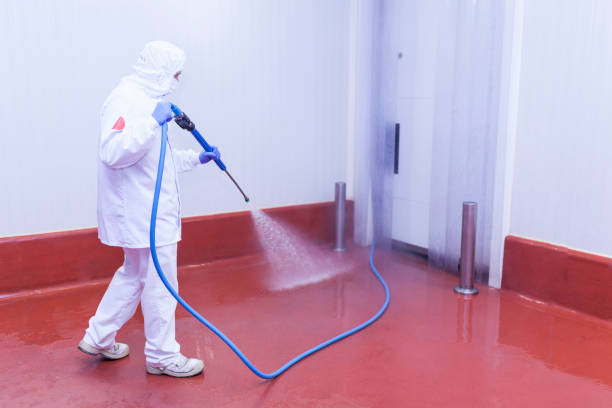 Best Factory Floor Cleaning  in Banks Springs, LA