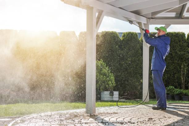 Best Soft Washing  in Banks Springs, LA