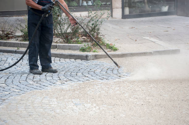 Best Spring Cleaning  in Banks Springs, LA