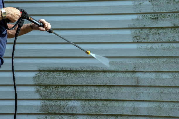 Boat and Dock Cleaning in Banks Springs, LA
